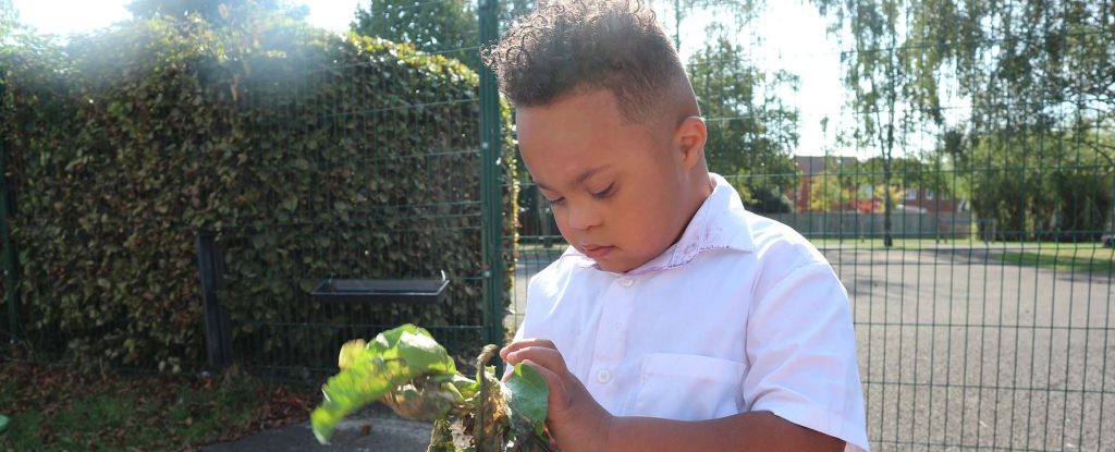 Boy Gardening